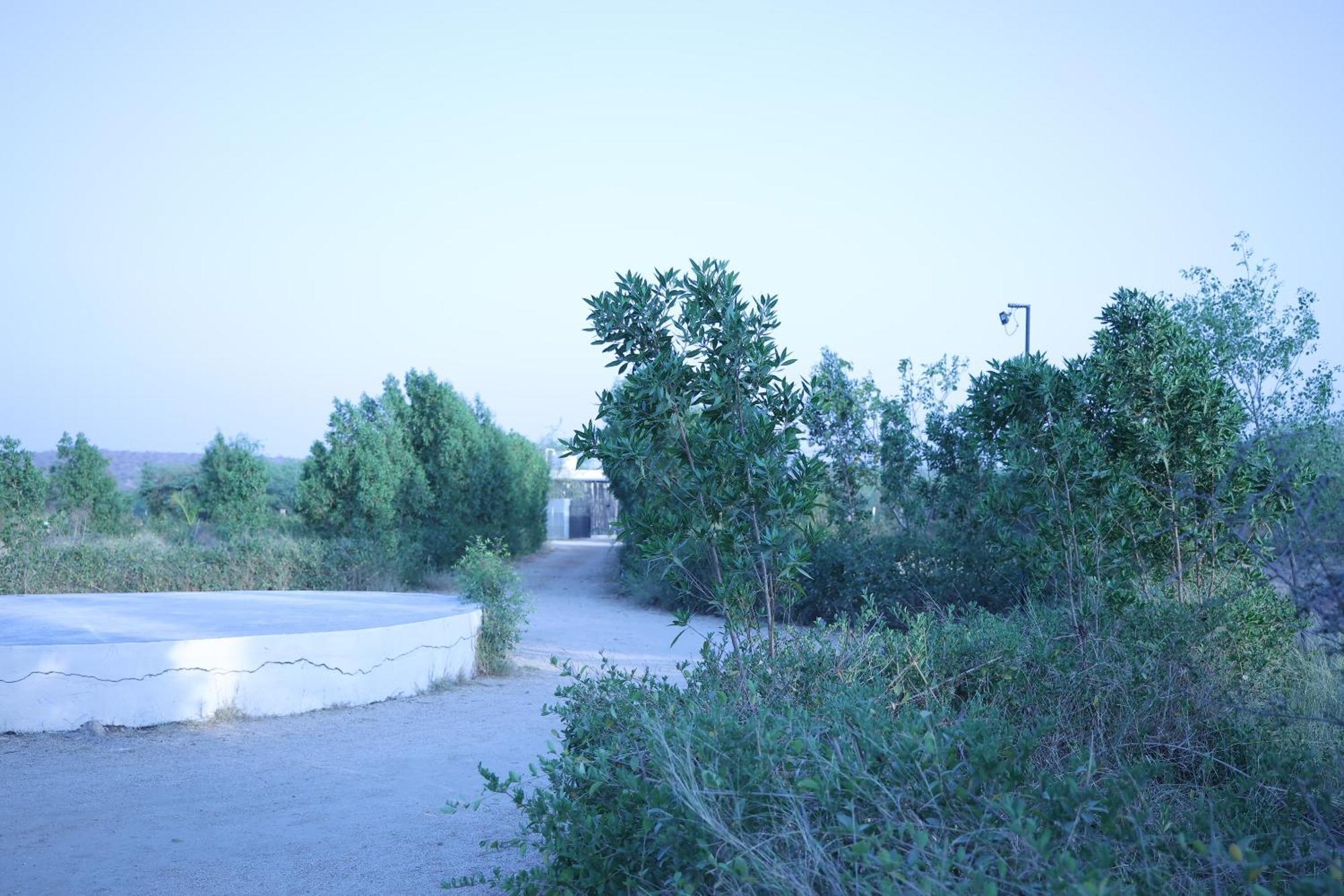 Jawai Bera Leopard Camp Hotel Exterior photo